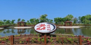 王杨乡：擦亮人居环境底色 绘就和美  乡村新画卷